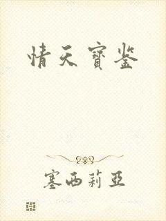 情天宝鉴封面