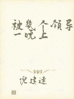 被几个领导玩弄一晚上