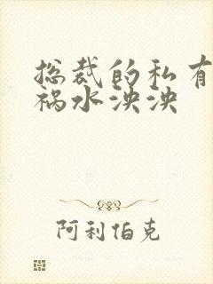 总裁的私有宝贝祸水泱泱