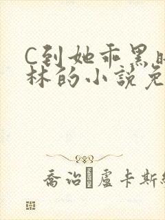 C到她乖黑暗森林的小说免费