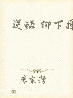 逆鳞 柳下挥封面