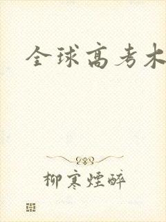 全球高考木苏里