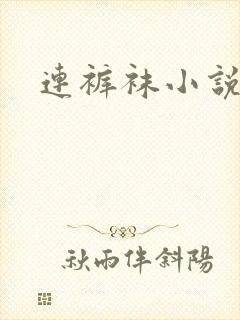 连裤袜小说封面