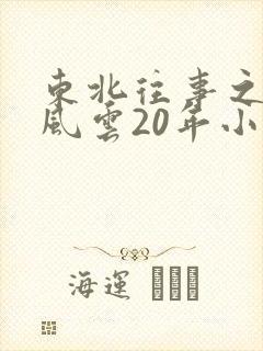 东北往事之黑道风云20年小说