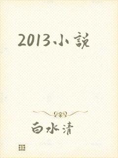 2013小说