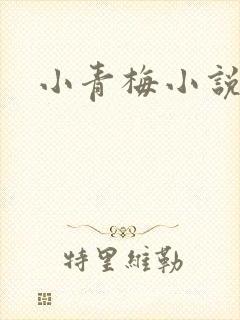 小青梅小说