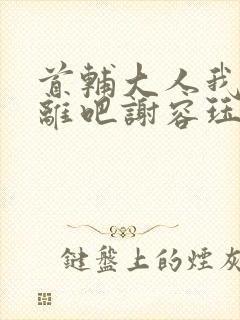 首辅大人我们和离吧谢容珏