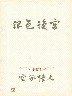 银色后宫