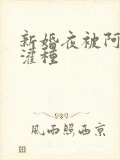新婚夜被阿龟强灌种封面