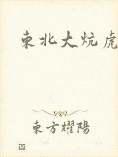 东北大炕虎子封面