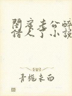 闺蜜老公醉酒认错人了小说全文阅读封面