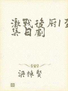 激战后厨1至5集日剧