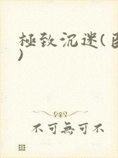 极致沉迷(臣年)封面
