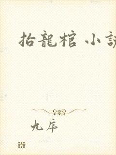 抬龙棺 小说