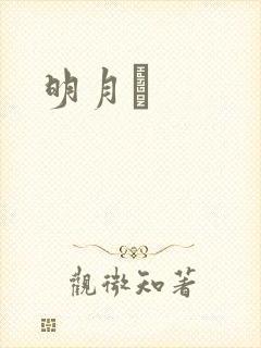 明月珰
