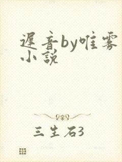 迟音by唯雾的小说