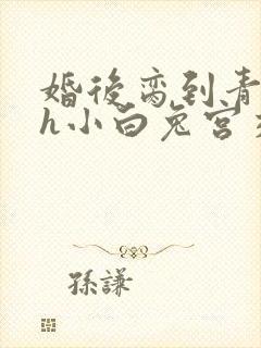 婚后脔到青梅哭h小白兔宫交h封面