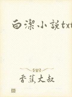 白洁小说txt