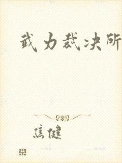 武力裁决所