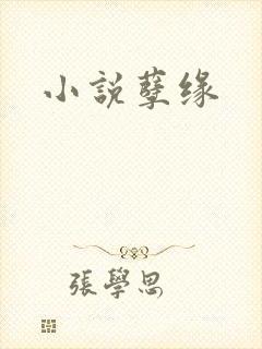 小说孽缘