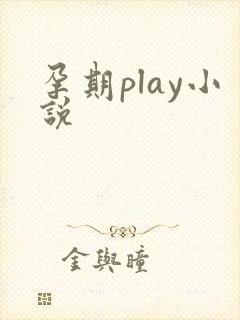 孕期play小说