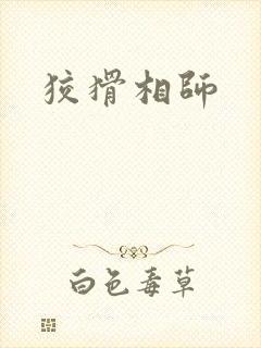 狡猾相师封面