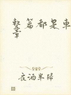 整篇都是车的文章