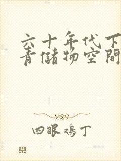 六十年代下乡知青储物空间