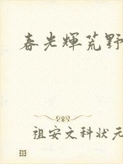 春光辉荒野封面