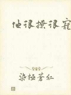 他很撩很宠封面