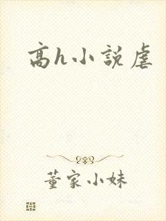 高h小说虐