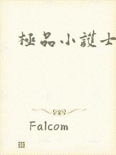 极品小护士