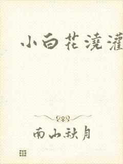 小白花浇灌日常封面