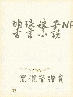 明珠娘子NPC古言小说封面
