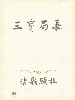 三宝局长封面