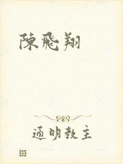 陈飞翔