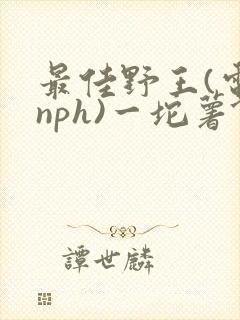 最佳野王(电竞nph)一坨薯饼