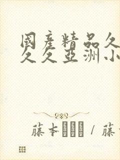 国产精品久久久久久亚洲小说