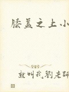 膝盖之上小说