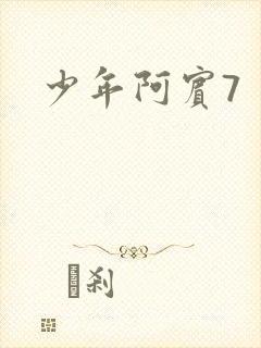 少年阿宾7封面