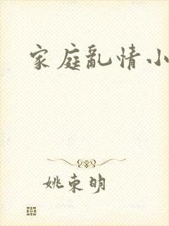 家庭乱情小说封面