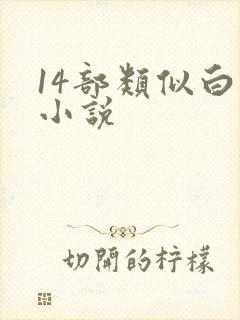 14部类似白洁小说
