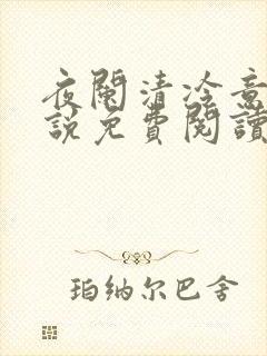 夜阑清冷意欢小说免费阅读