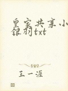 皇家共享小公主银羽txt封面