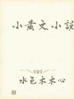 小黄文小说