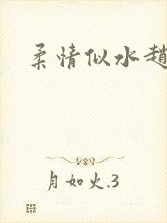 柔情似水赵雅儿封面