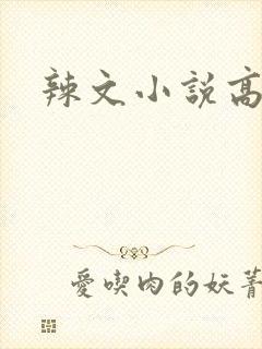 辣文小说高h