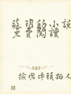 苏玥的小说全文免费阅读