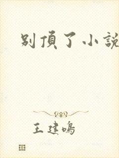 别顶了小说