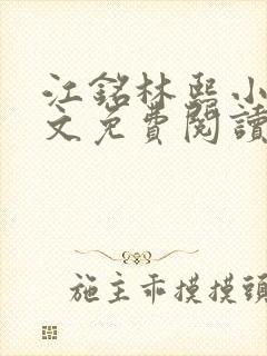 江铭林熙小说全文免费阅读